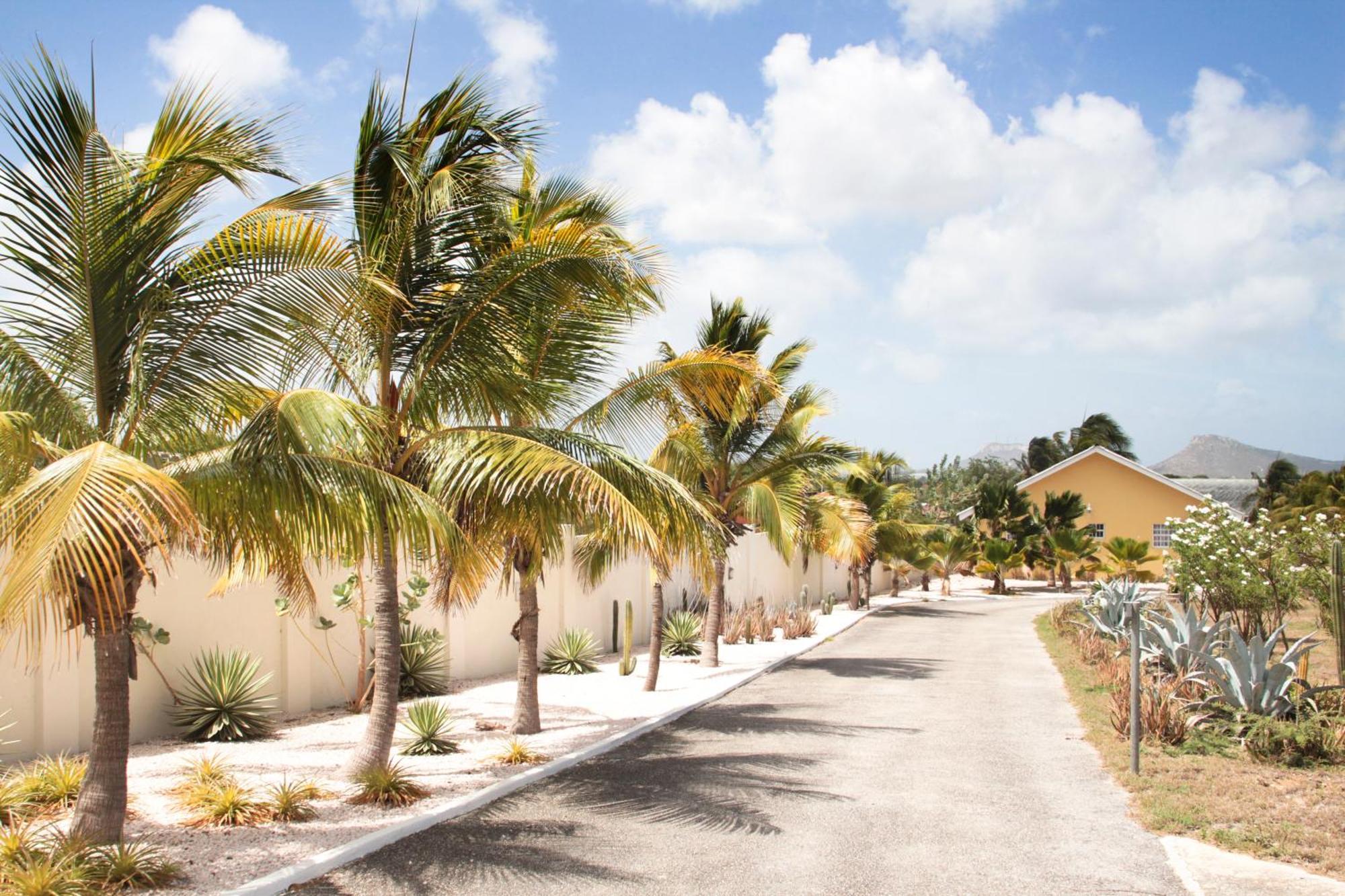 Abc Lodges Curacao Willemstad Kültér fotó