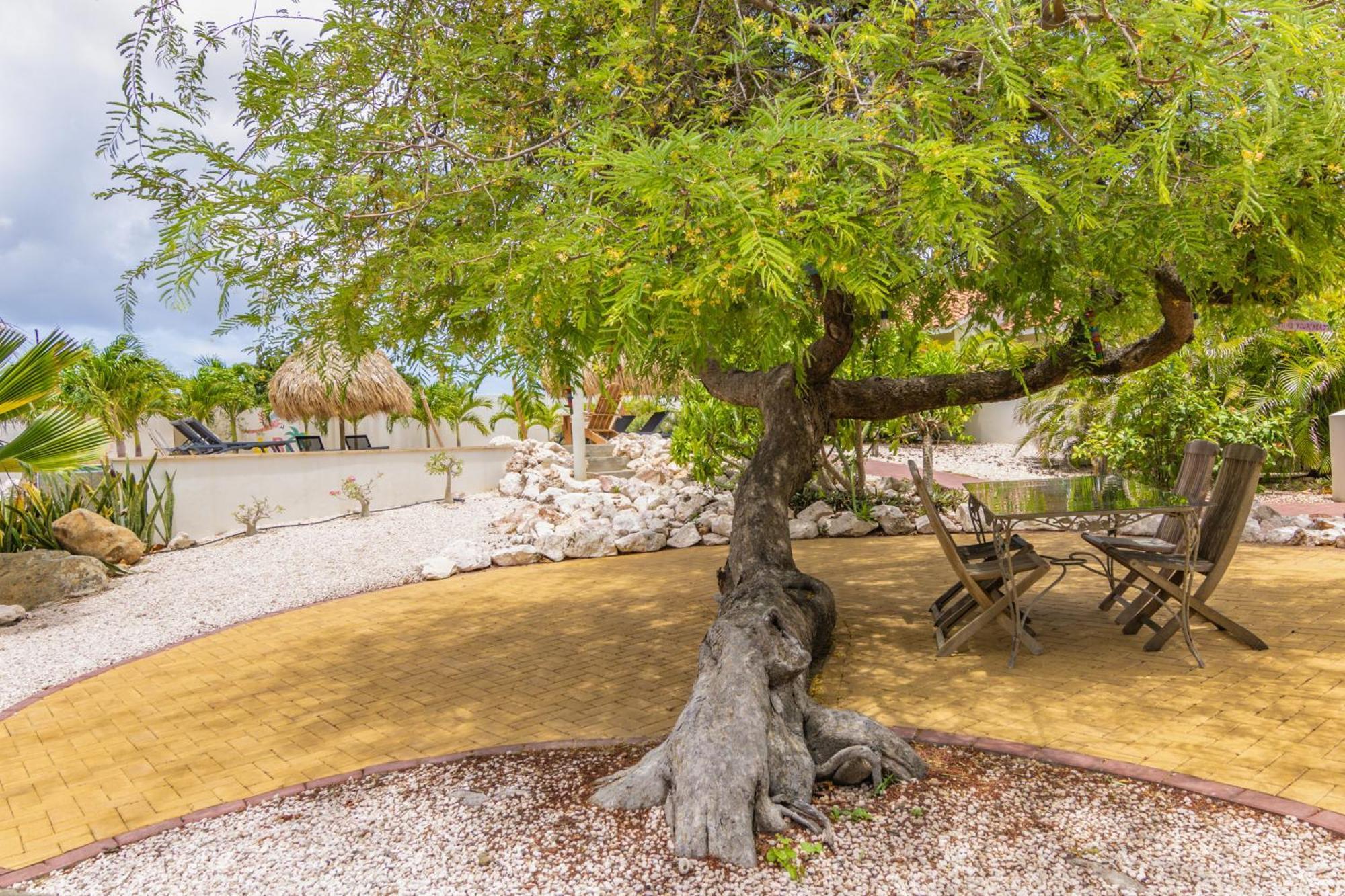 Abc Lodges Curacao Willemstad Kültér fotó