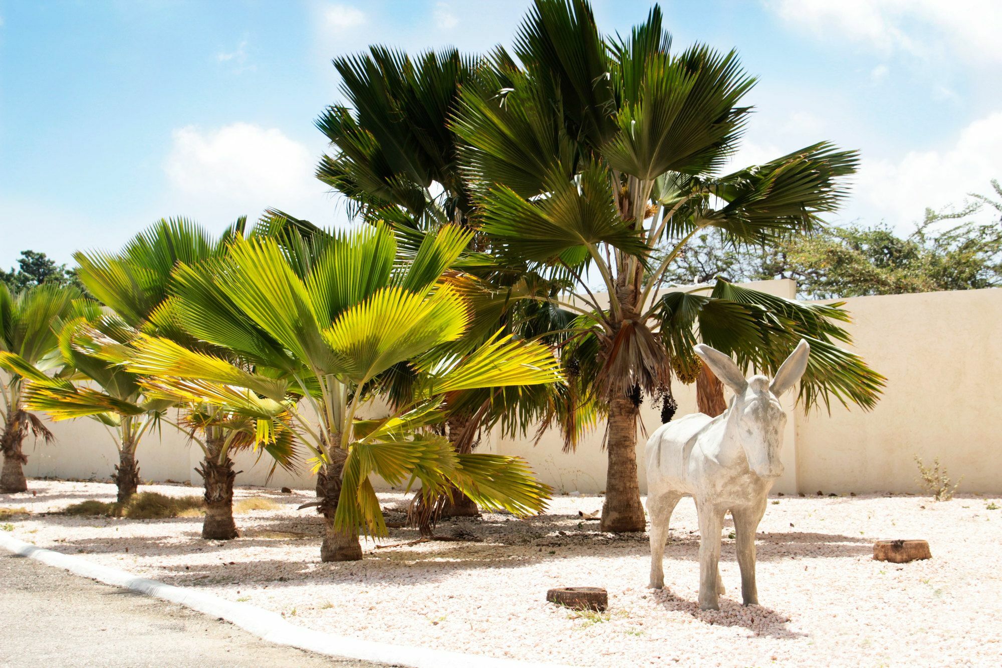 Abc Lodges Curacao Willemstad Kültér fotó